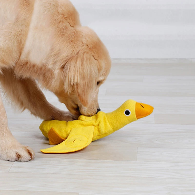 Brinquedo interativo para cães: patinho que distribui petiscos. Divertido e inteligente!