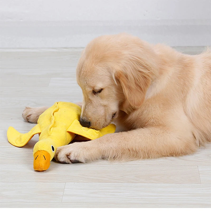 Brinquedo interativo para cães: patinho que distribui petiscos. Divertido e inteligente!