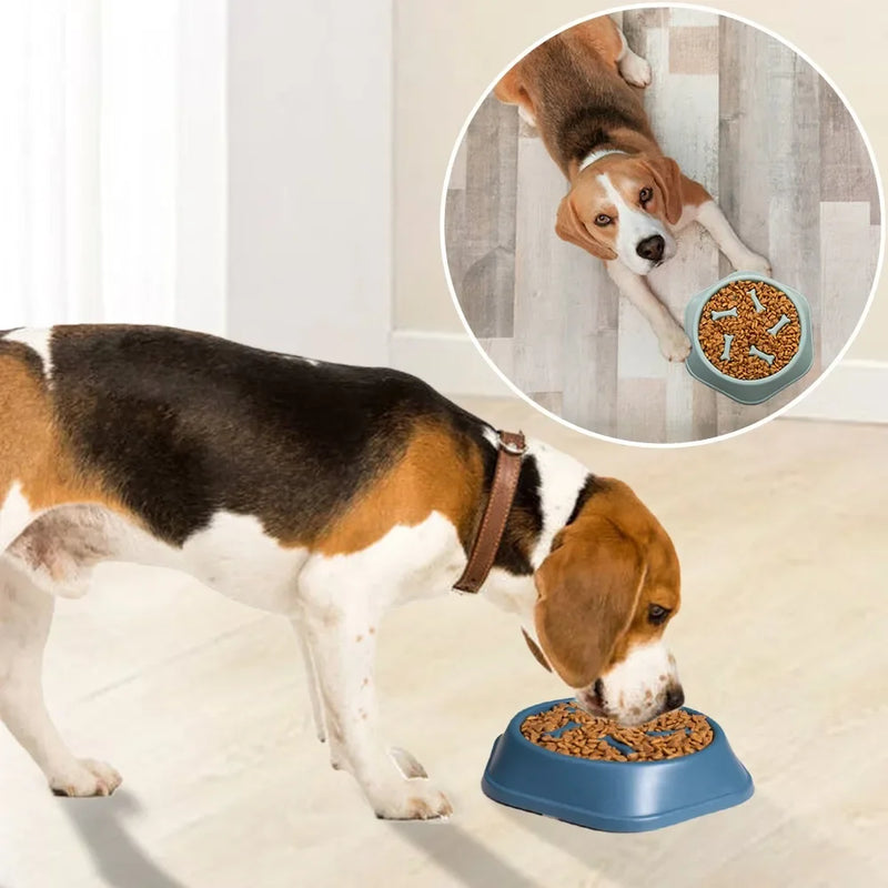 Novo Comedouro para Cães: Reduza a Velocidade de Alimentação e Previna a Obesidade