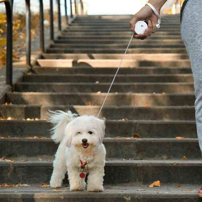 Guia Retrátil Automática para Cachorros e Gatos