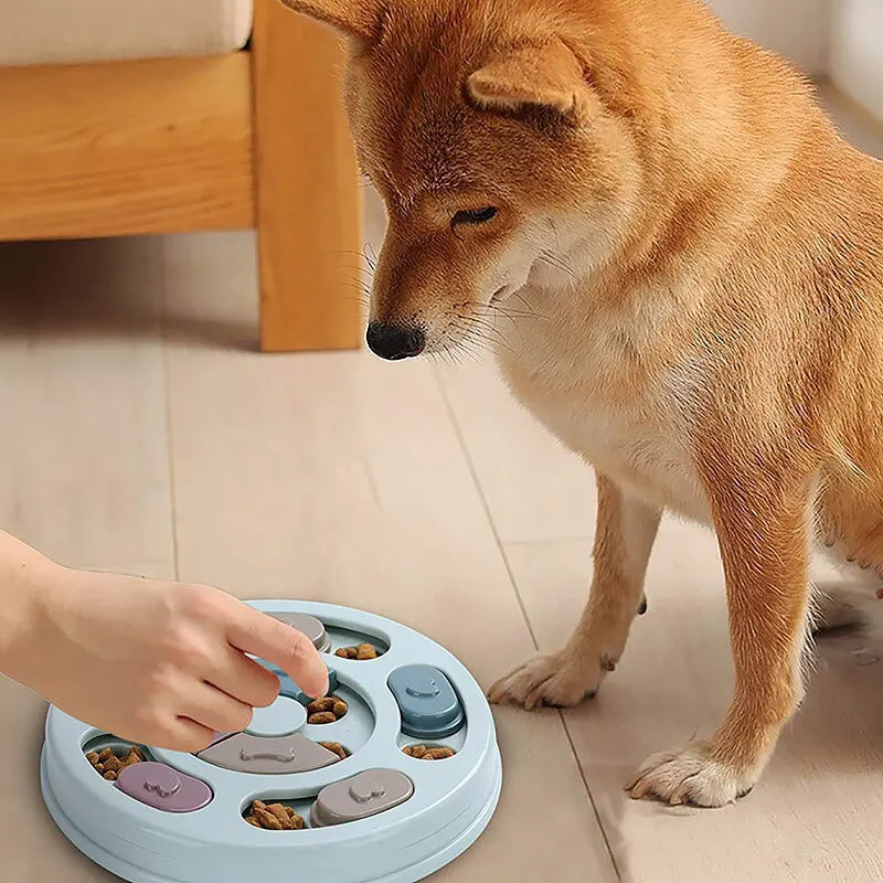 Brinquedo Educacional para Alimentação de Pets