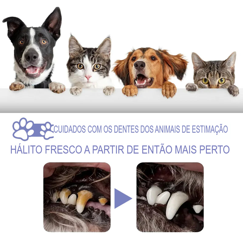 Pet Oral Care Spray - Cuidado Bucal para Animais: Limpeza dos Dentes, Clareamento Dental, Eliminação do Mau Hálito, Manutenção de um Hálito Fresco e Remoção de Manchas Dentárias para Gatos e Cães.