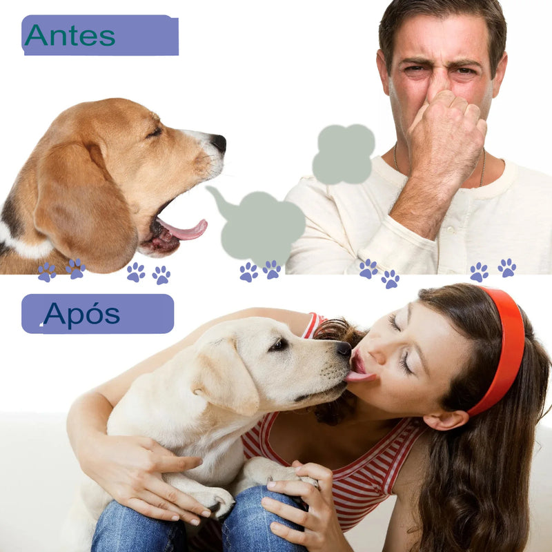 Pet Oral Care Spray - Cuidado Bucal para Animais: Limpeza dos Dentes, Clareamento Dental, Eliminação do Mau Hálito, Manutenção de um Hálito Fresco e Remoção de Manchas Dentárias para Gatos e Cães.