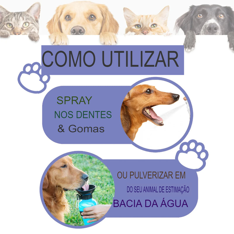 Pet Oral Care Spray - Cuidado Bucal para Animais: Limpeza dos Dentes, Clareamento Dental, Eliminação do Mau Hálito, Manutenção de um Hálito Fresco e Remoção de Manchas Dentárias para Gatos e Cães.