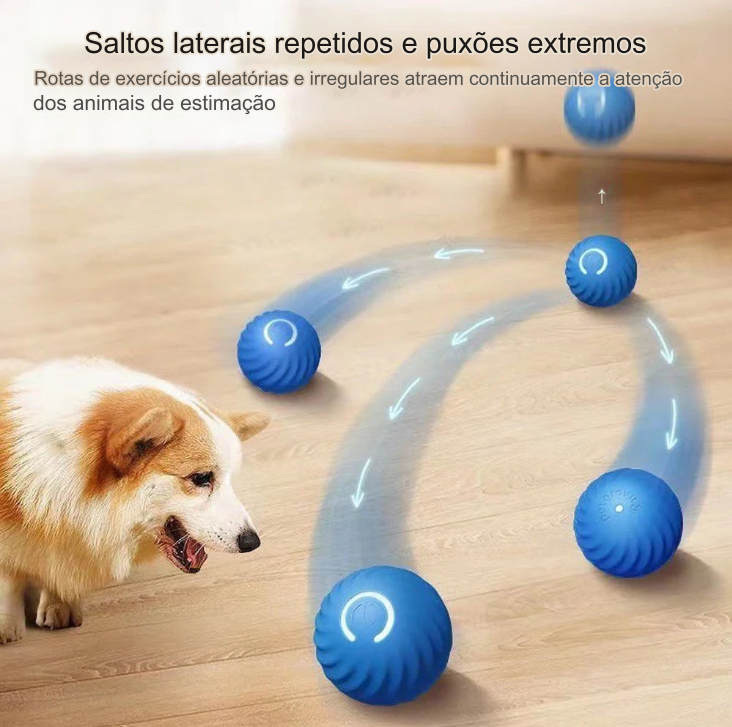 Bola Eletro Para Seus Pets