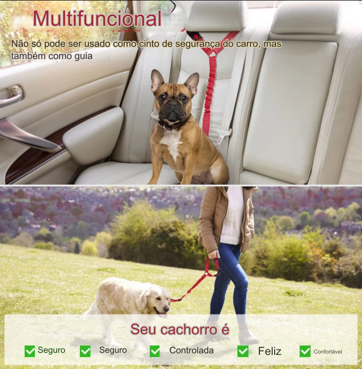 Cinto de Segurança para Cães em Viagens